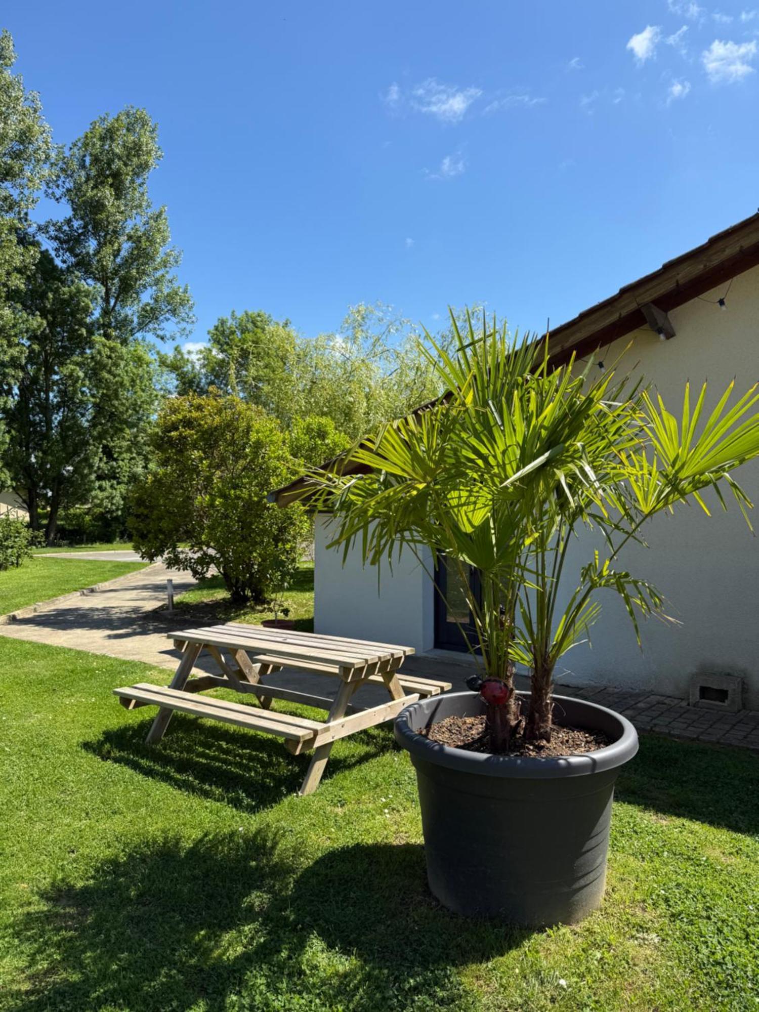 Bed and Breakfast Parc De La Charmille Saint-Etienne-sur-Reyssouze Екстер'єр фото
